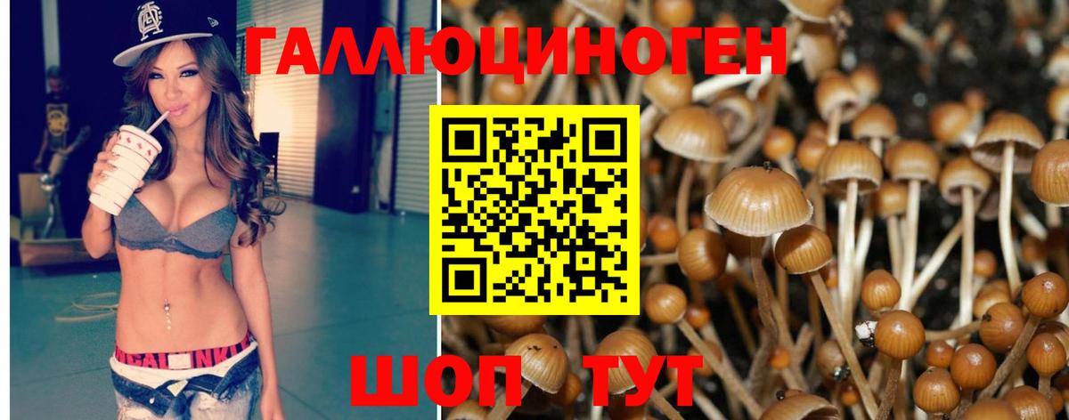 Галлюциногенные грибы Psilocybe  Вход с VPN  Грязи 